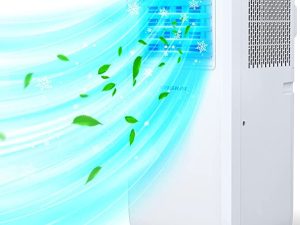 Portable Air Conditioners